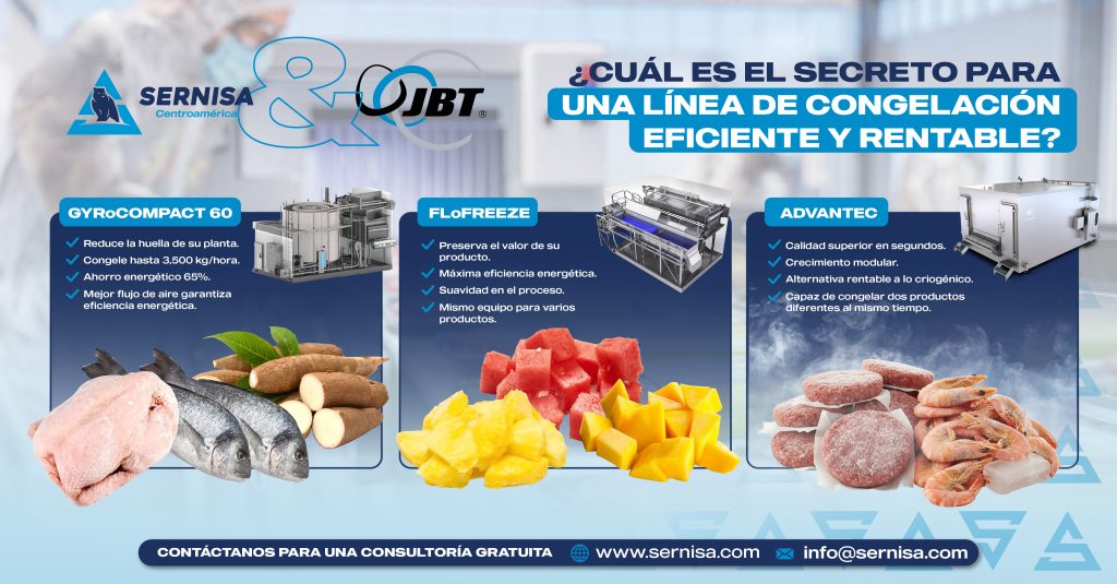 ¿Cuál es el secreto para una línea de congelación eficiente y rentable?
