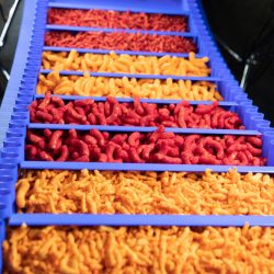 Food Technology Process