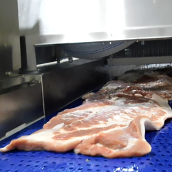 bacon injector